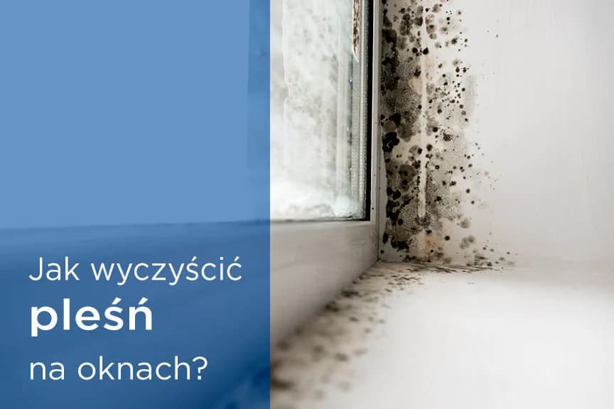 Jak wyczyścić pleśń z okien skutecznie i zapobiec nawrotom problemu