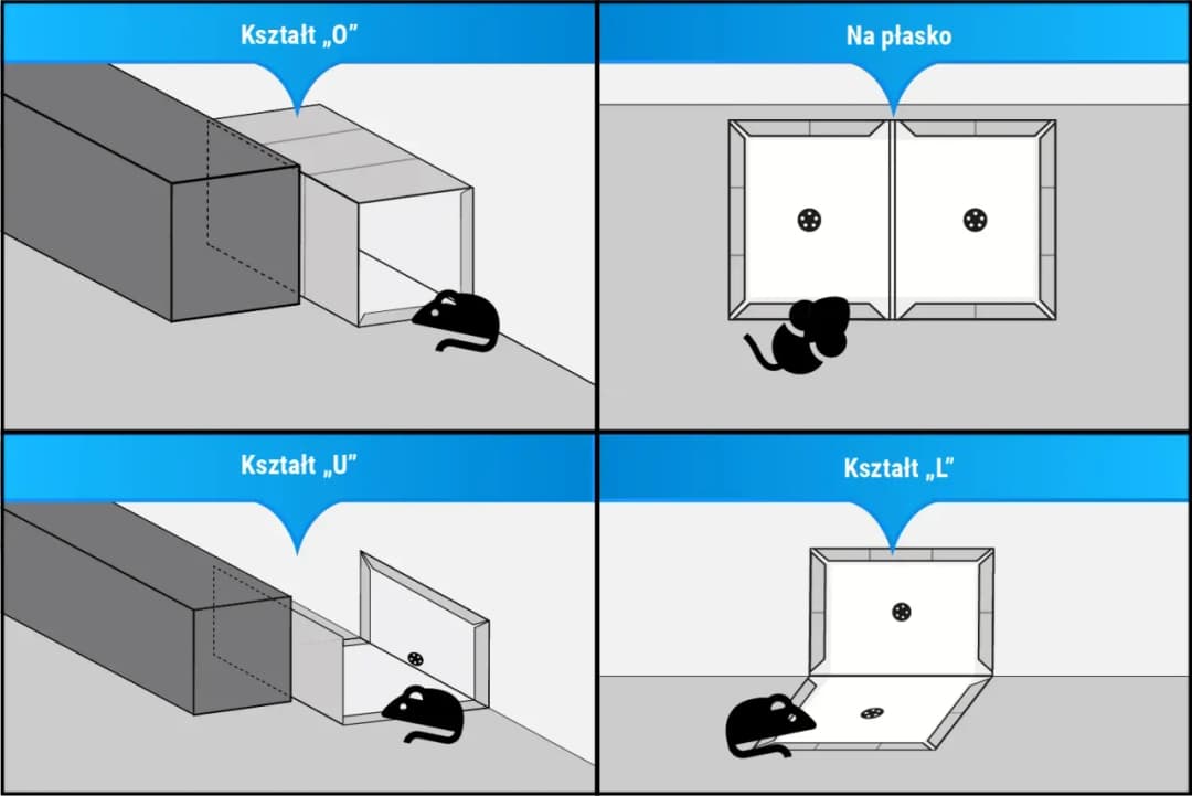 Jak pozbyć się myszy z elewacji - skuteczne metody, które działają!