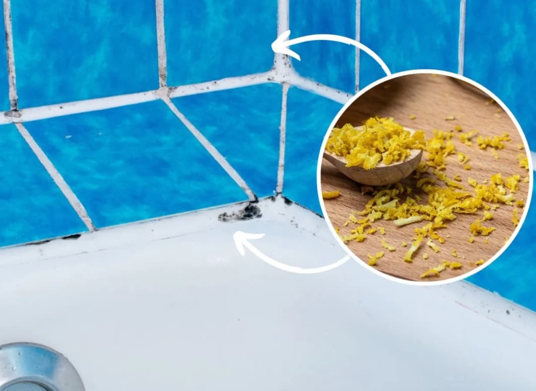 Jak usunąć grzyba z łazienki domowymi sposobami i uniknąć nawrotów